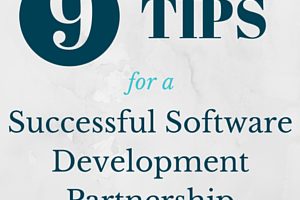 software development